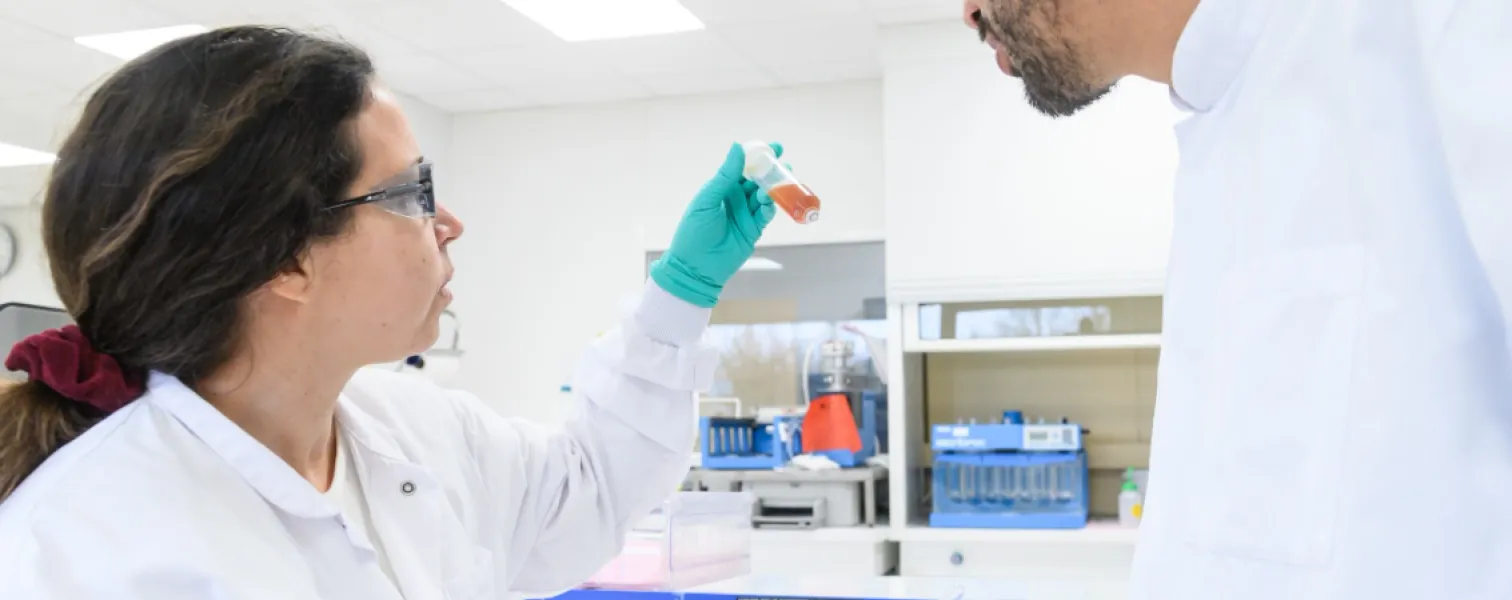 innotech international