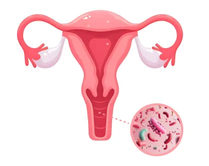 illustration-vaginal-microbiote
